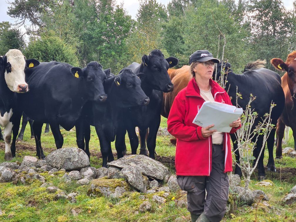 Anna Hessle, Sveriges lantbruksuniversitet