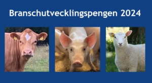 Branschutvecklingspengen stärker svensk gris-, nöt-, och lammköttproduktion